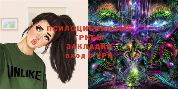 сатива Новокубанск