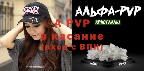 сатива Новокубанск