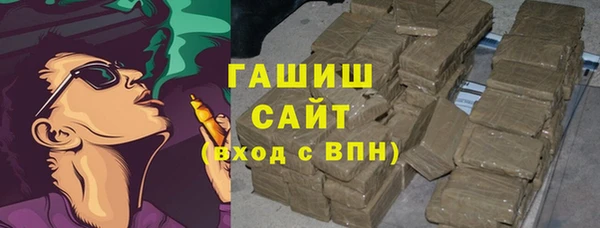 сатива Новокубанск