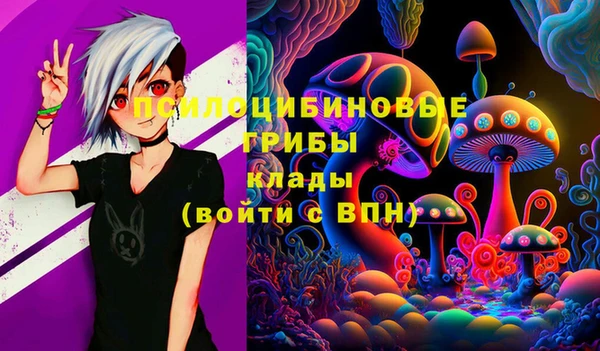 сатива Новокубанск