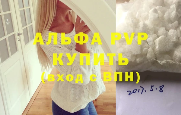 сатива Новокубанск