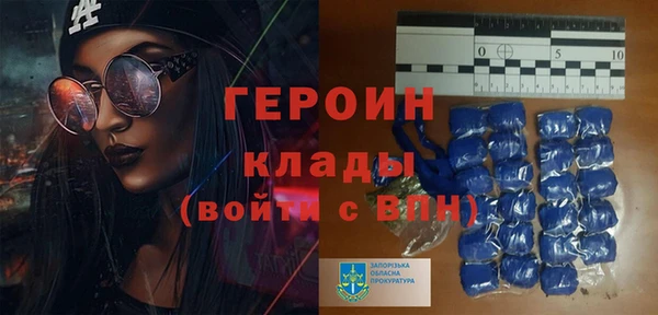 сатива Новокубанск