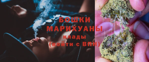 сатива Новокубанск