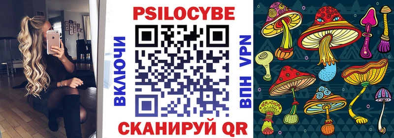 мега как зайти наркотики Фокино Псилоцибиновые грибы мицелий